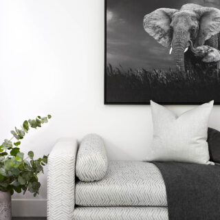 Daybed with luxurious throw and cushions in front of a dramatic artwork of a black and white image of an elephant hung on a perfectly selected white wall.